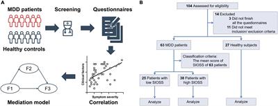 Trait Anxiety Mediates Impulsivity and Suicidal Ideation in Depression During COVID-19 Pandemic